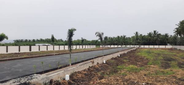 Internal Roads gardens Internal Roads