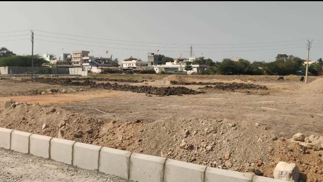  spring field vantage Plot