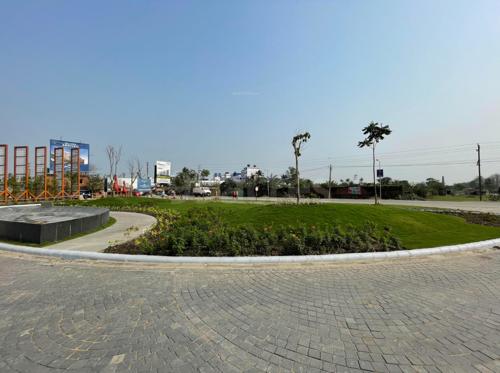  capitalcity Landscape Garden and Tree Planting