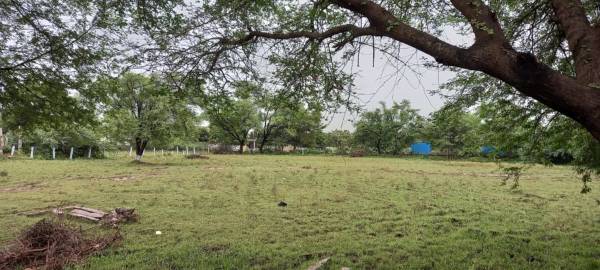 Elevation renuka-isha-enclave Elevation