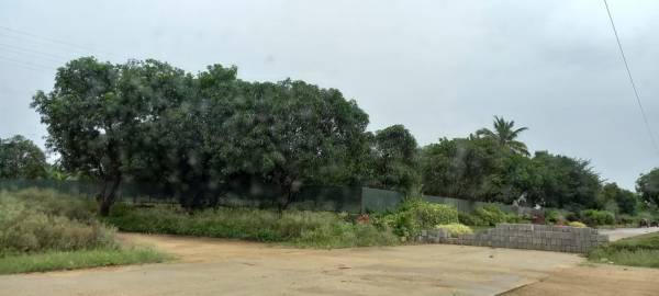  renuka-isha-enclave Plot