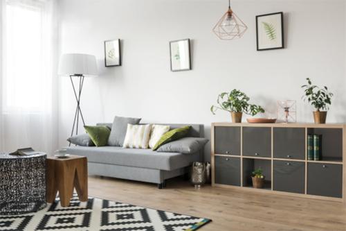  sree-vista Living Area