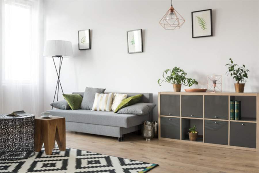  sree vista Living Area