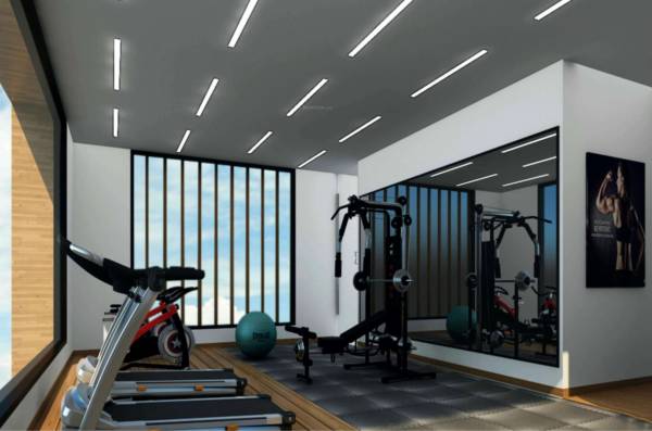  urban-orchids Gymnasium