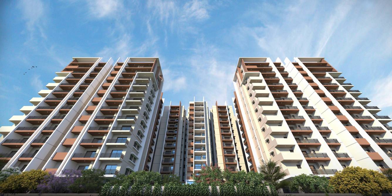  dsr park ridge Elevation