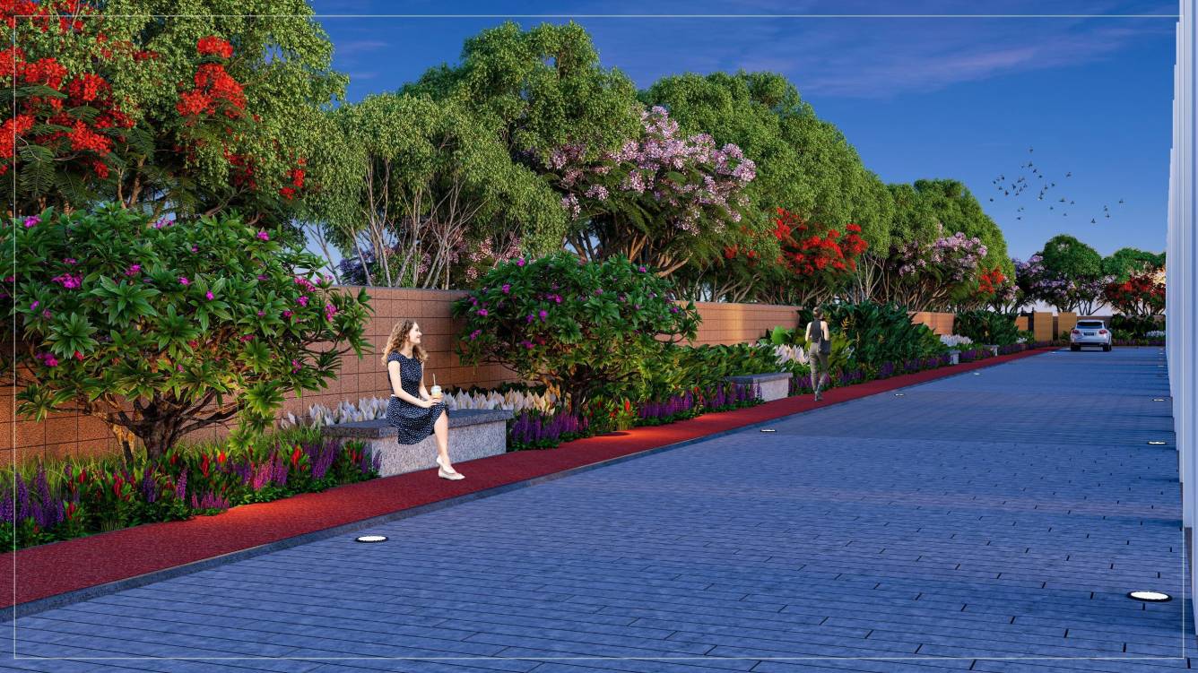  dsr park ridge Paved Compound