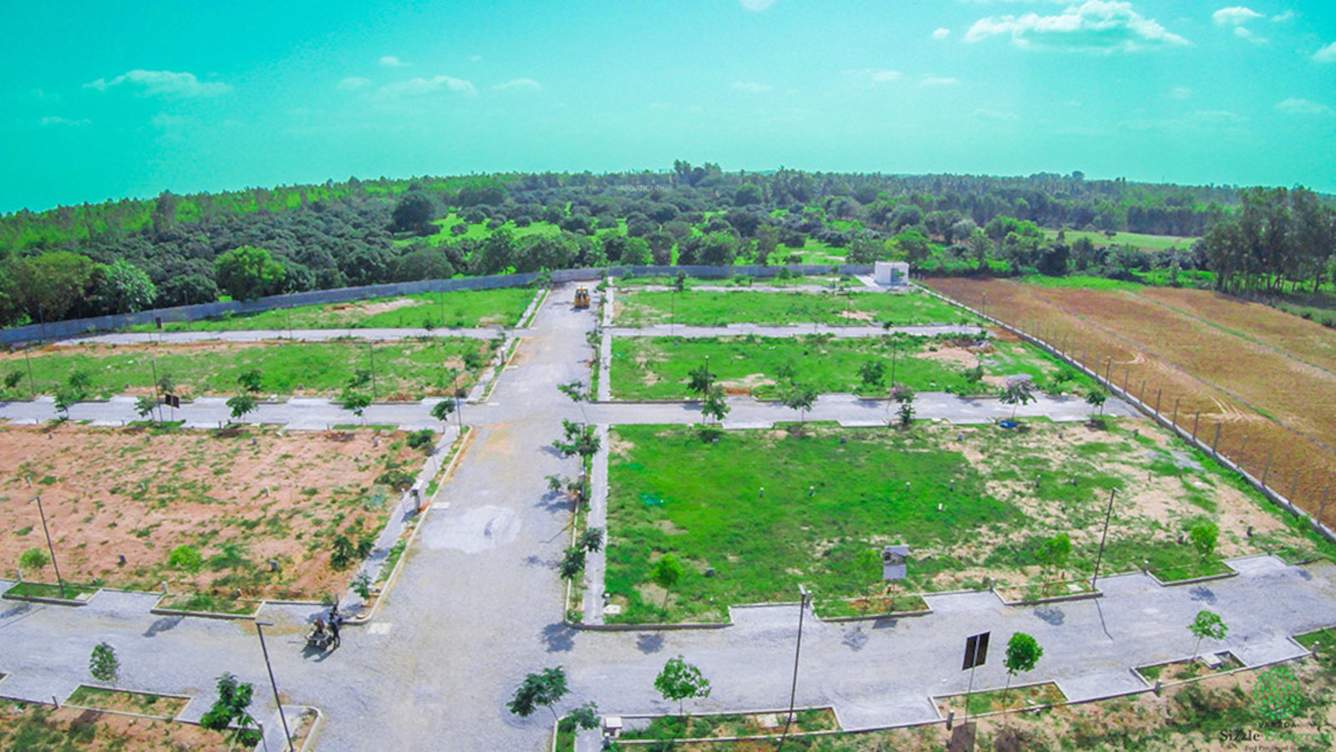  varada sizzle evergreen Elevation