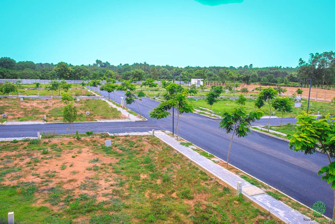  varada sizzle evergreen Elevation