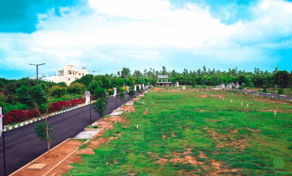  varada-sizzle-evergreen Elevation