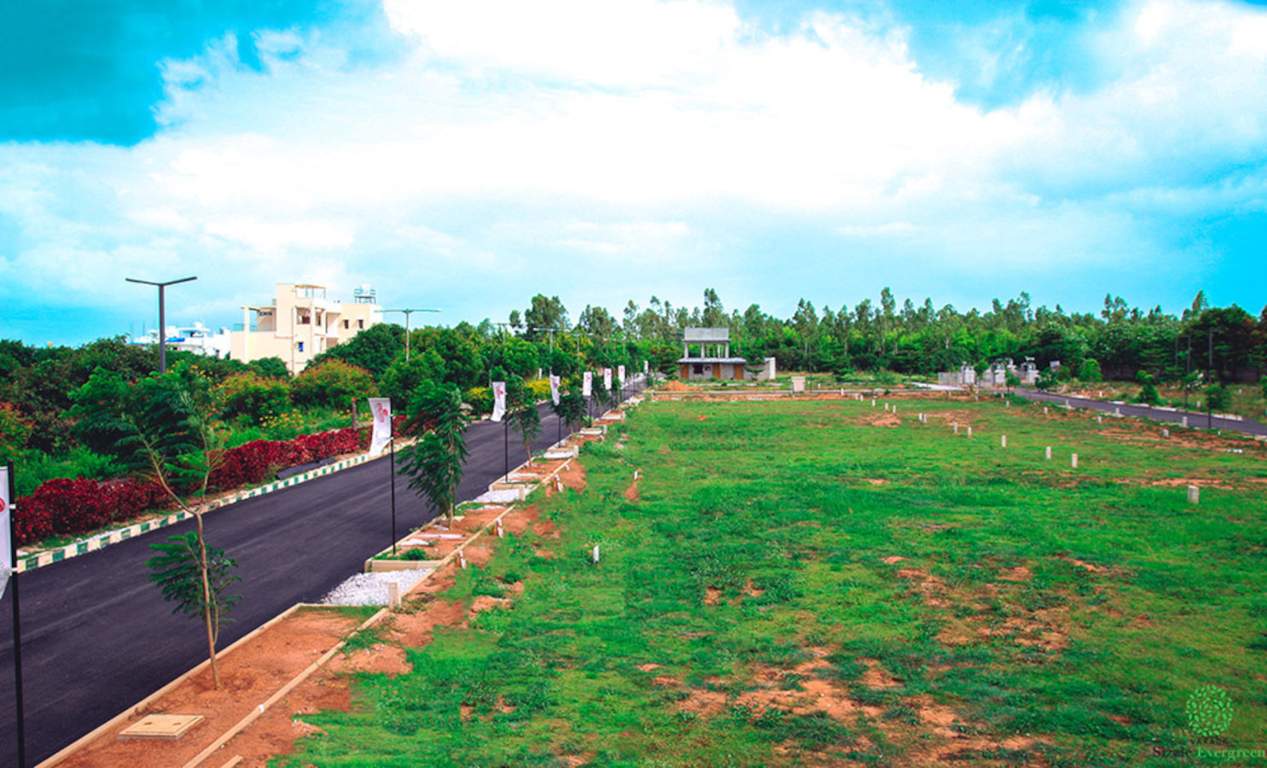  varada sizzle evergreen Elevation