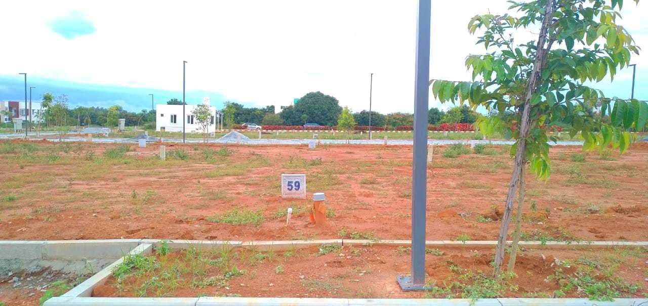  varada sizzle evergreen Elevation