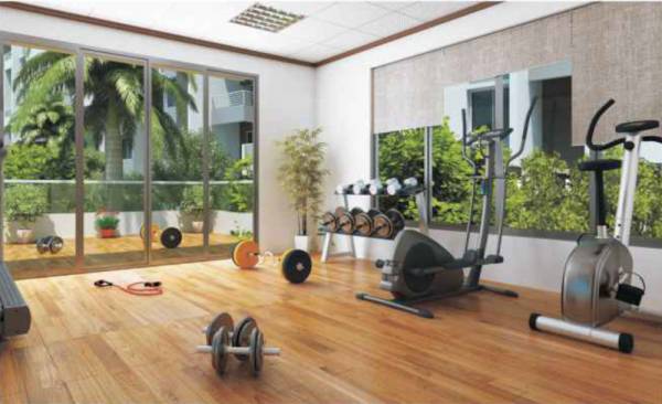  spring-valley-phase-iv Gymnasium