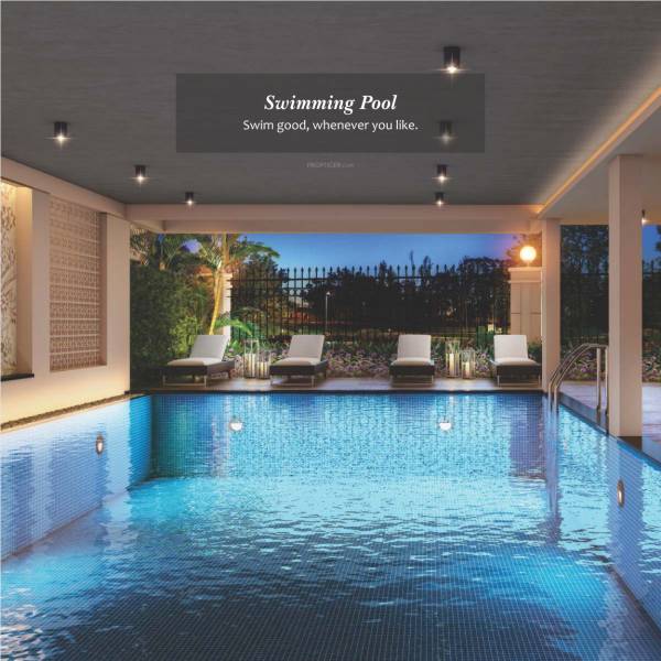  silicon-valley Swimming Pool