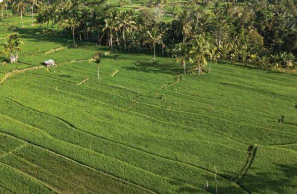 Elevation imperial-goa-phase-1 Elevation