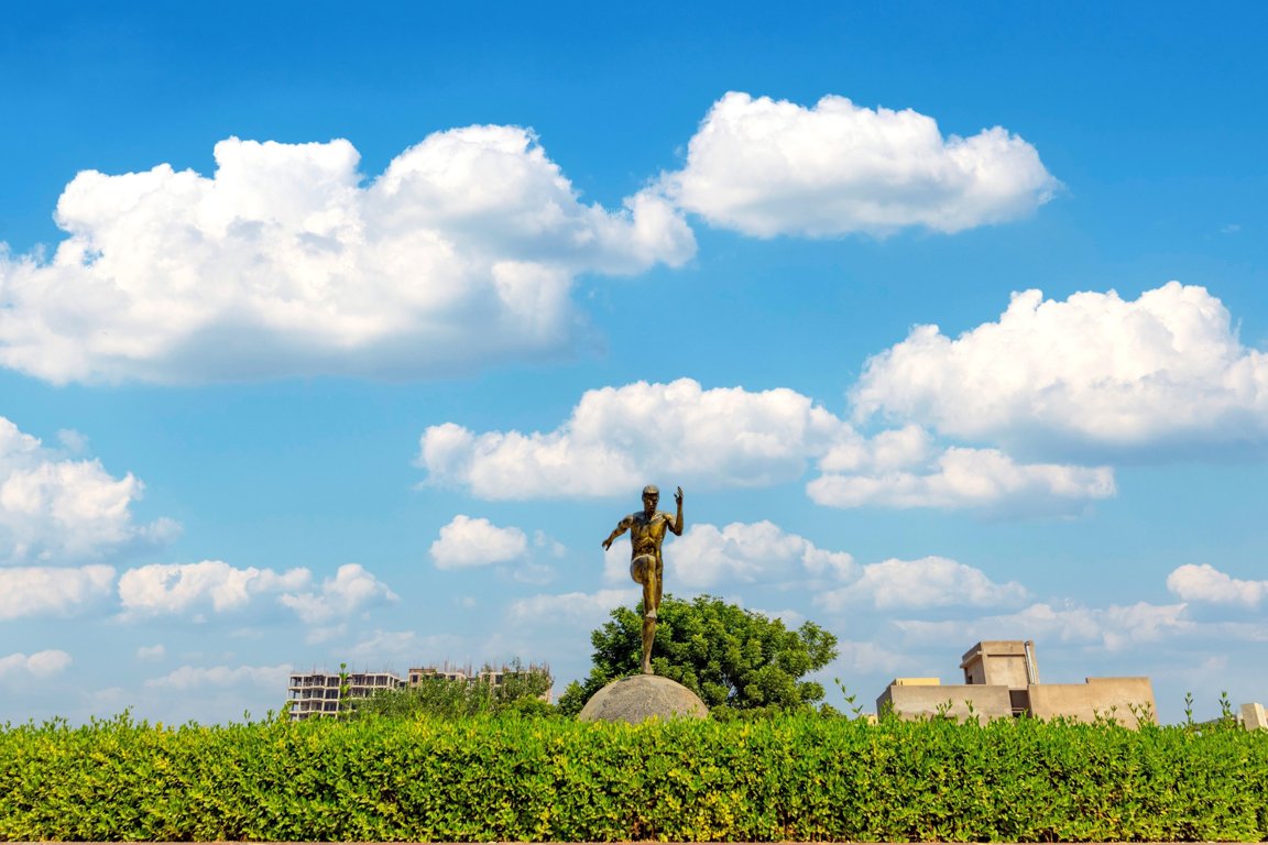  sansaar Landscape Garden and Tree Planting