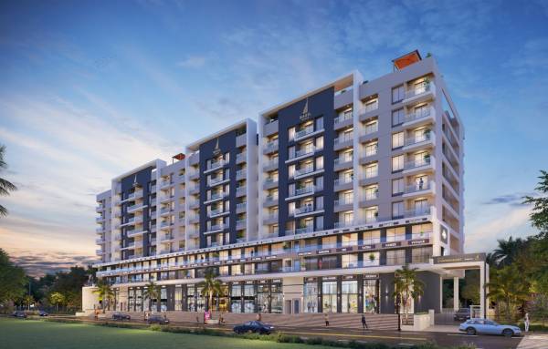  basil-chandrakant Elevation