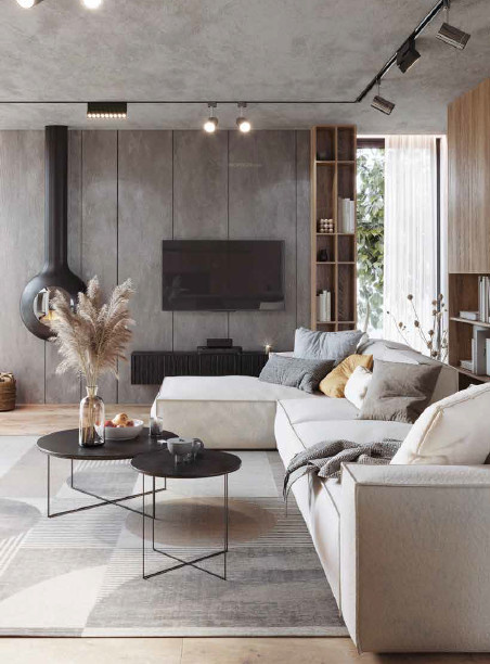  darsshan Living Area