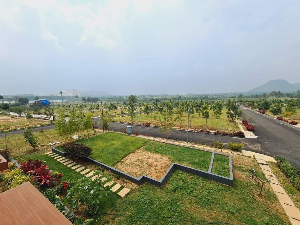  hill crest phase ii Landscape Garden and Tree Planting