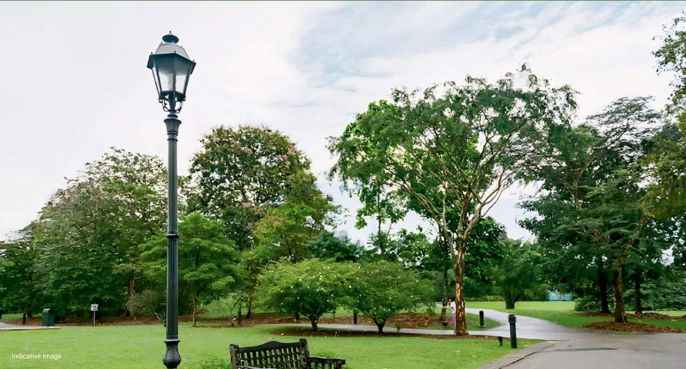  golden park Landscape Garden and Tree Planting
