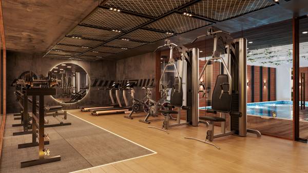 Gymnasium bluebell Gymnasium