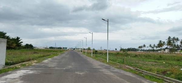  viruksham Internal Roads