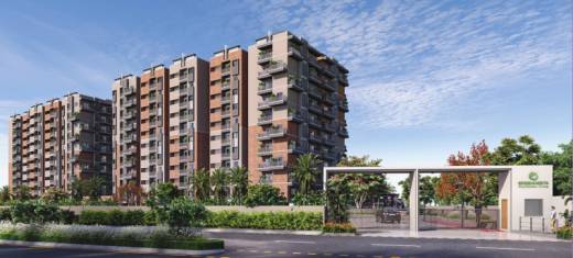 primus Elevation Elevation