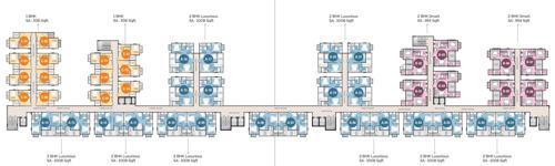  the-amelias The Amelias Cluster Plan