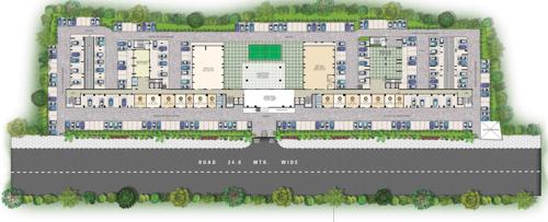  the-amelias The Amelias Cluster Plan