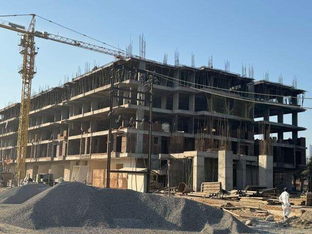  the amelias The Amelias Construction Status March 24