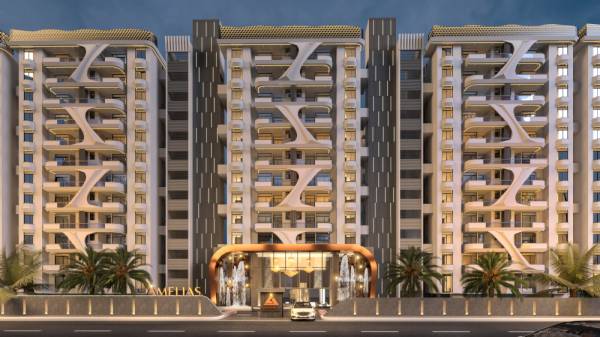  the-amelias Elevation