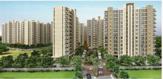 Project Image Project Image