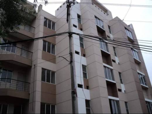 lemon-tree Elevation Elevation