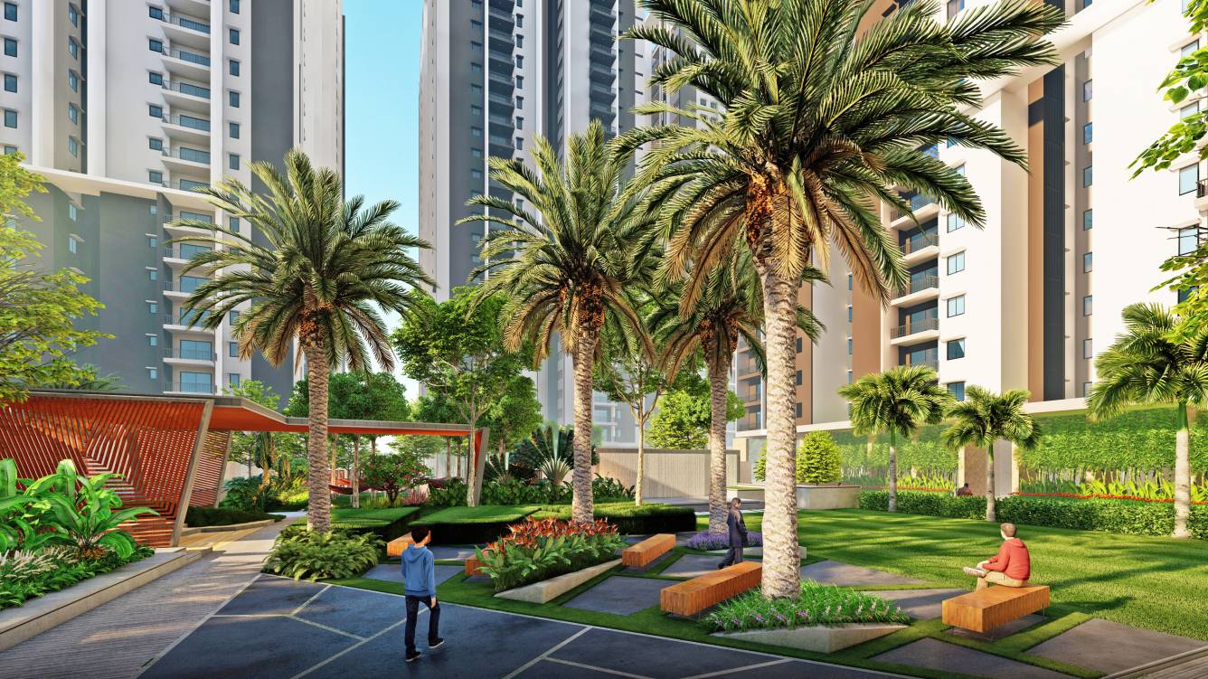 visions arsha Others