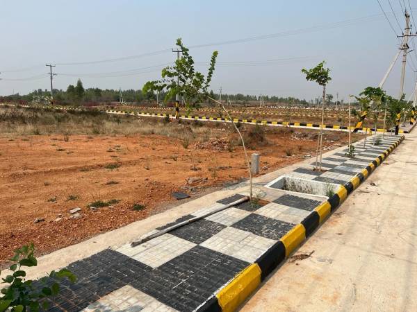 Plot saradha-garden Plot