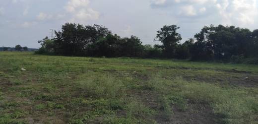 ambience-phase-ii Elevation Elevation