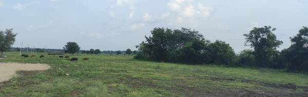  ambience-phase-ii Plot