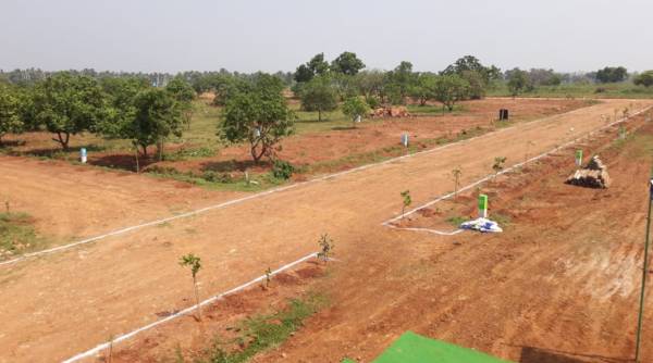  suvarna-saketh Elevation