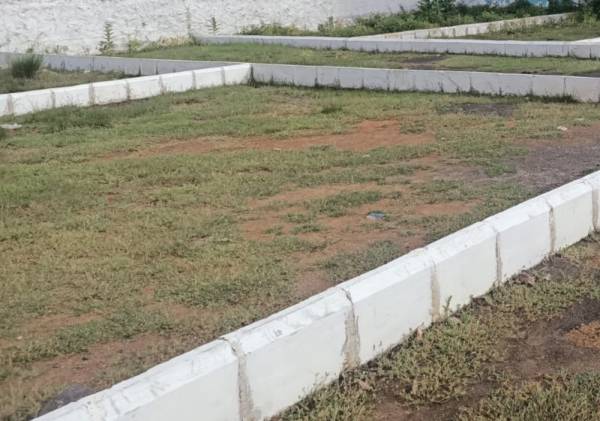  palavak Plot