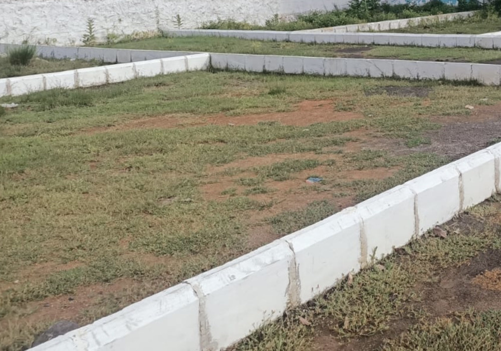  palavak Plot