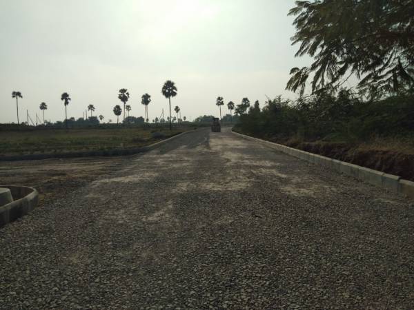  avenues Internal Roads