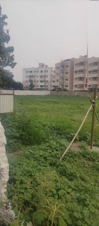 rajesh avenue Plot