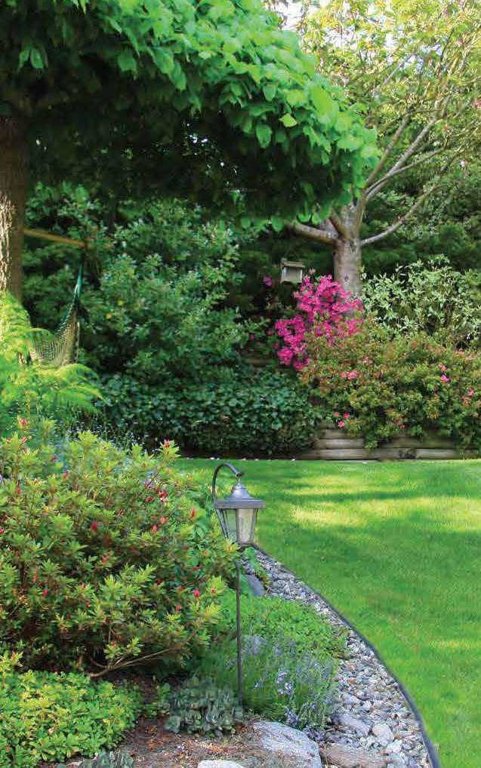  invicta Landscape Garden and Tree Planting