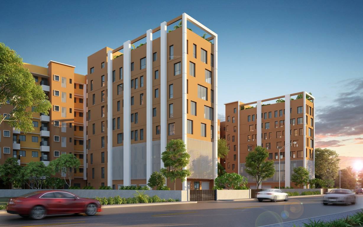  sunshine enclave Elevation