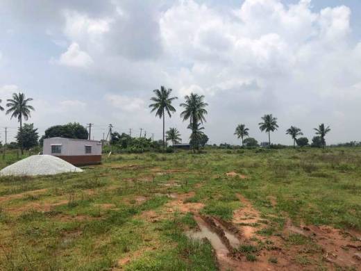 serenity-phase-1 Elevation Elevation