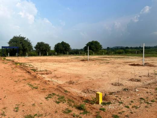 ns-homes Elevation Elevation