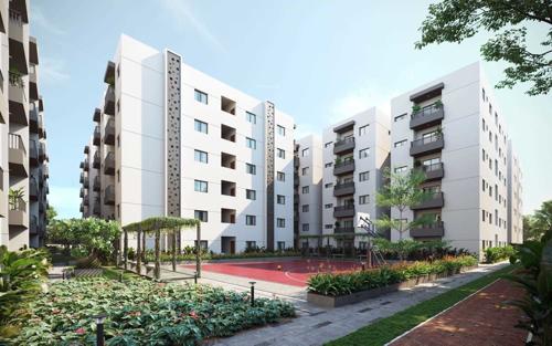  annes-fortune-green-home-swan Basketball Court