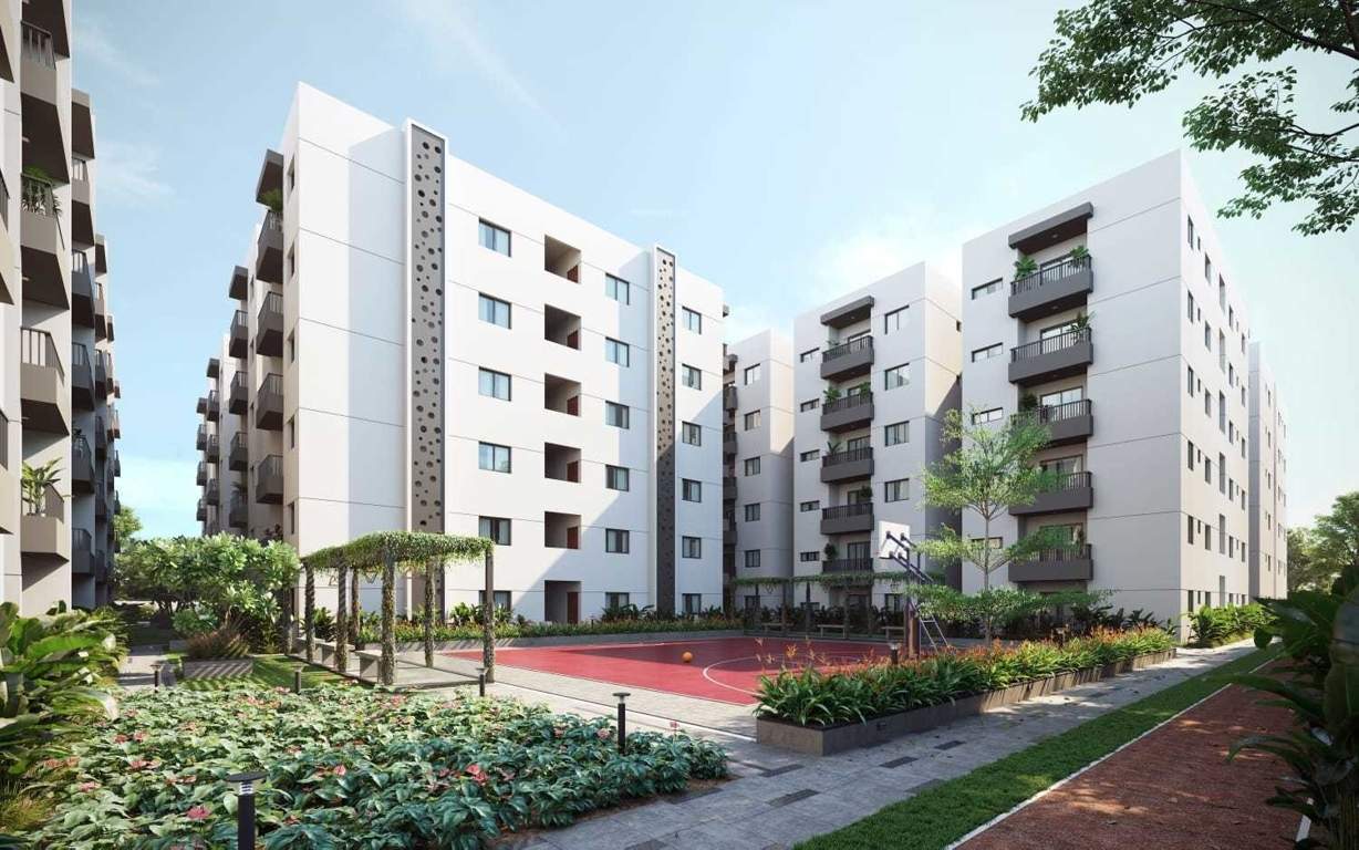  annes fortune green home swan Basketball Court