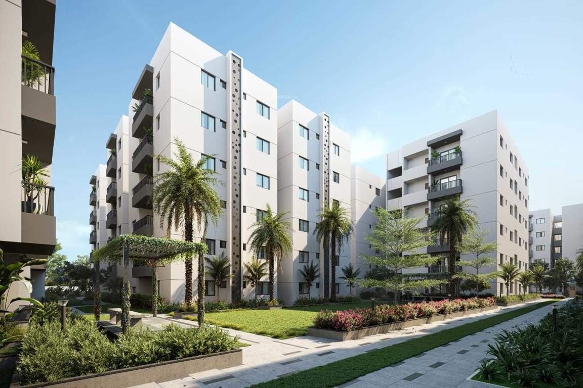  annes fortune green home swan Landscape Garden and Tree Planting