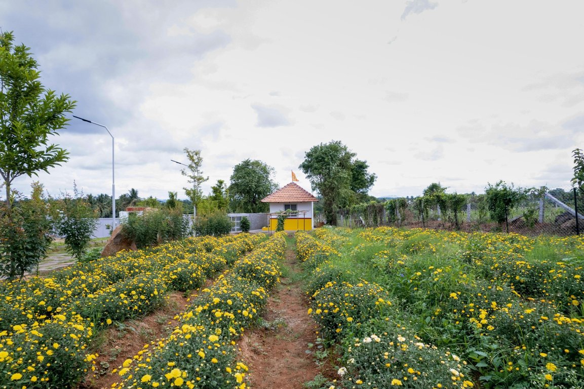  graama Flower Garden