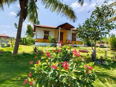  graama Landscape Garden and Tree Planting